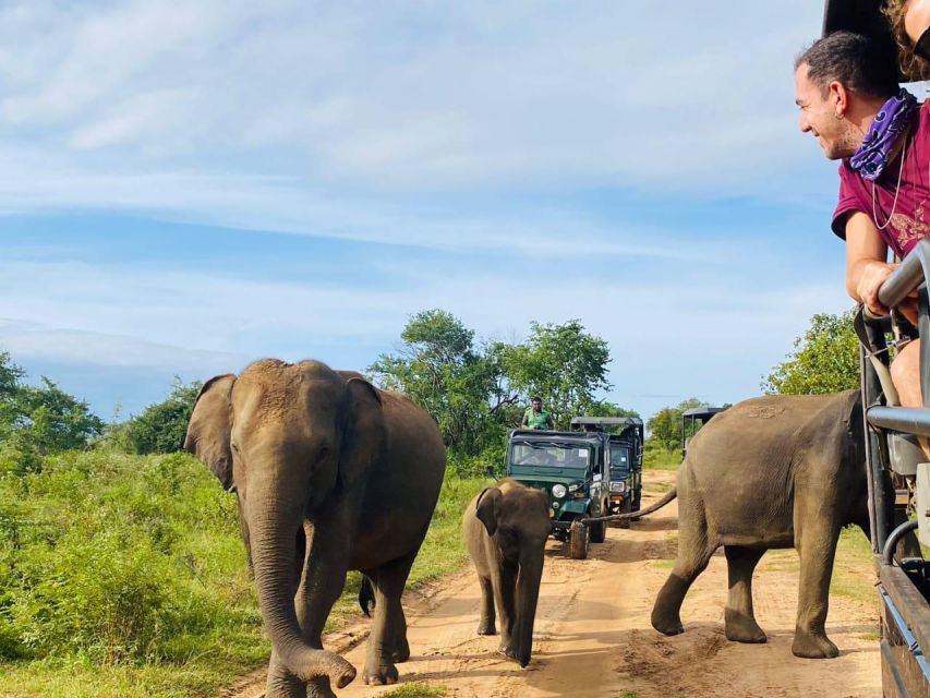 All Inclusive Minneriya or Eco National Park Half Day Safari - Good To Know