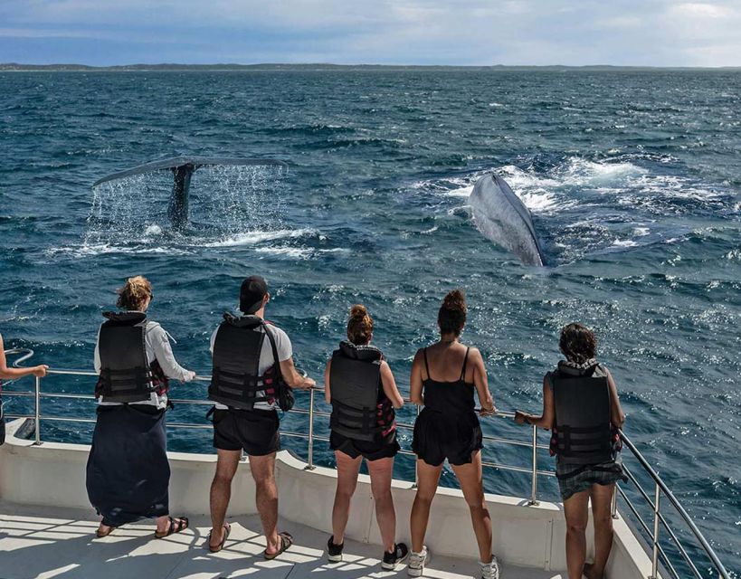 All Inclusive Mirissa Morning Whale Watching Boat Tour - Good To Know