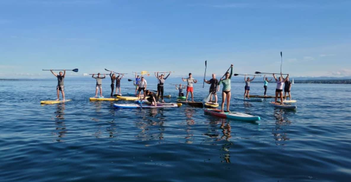 Allensbach: SUP Course & Tour - Key Points