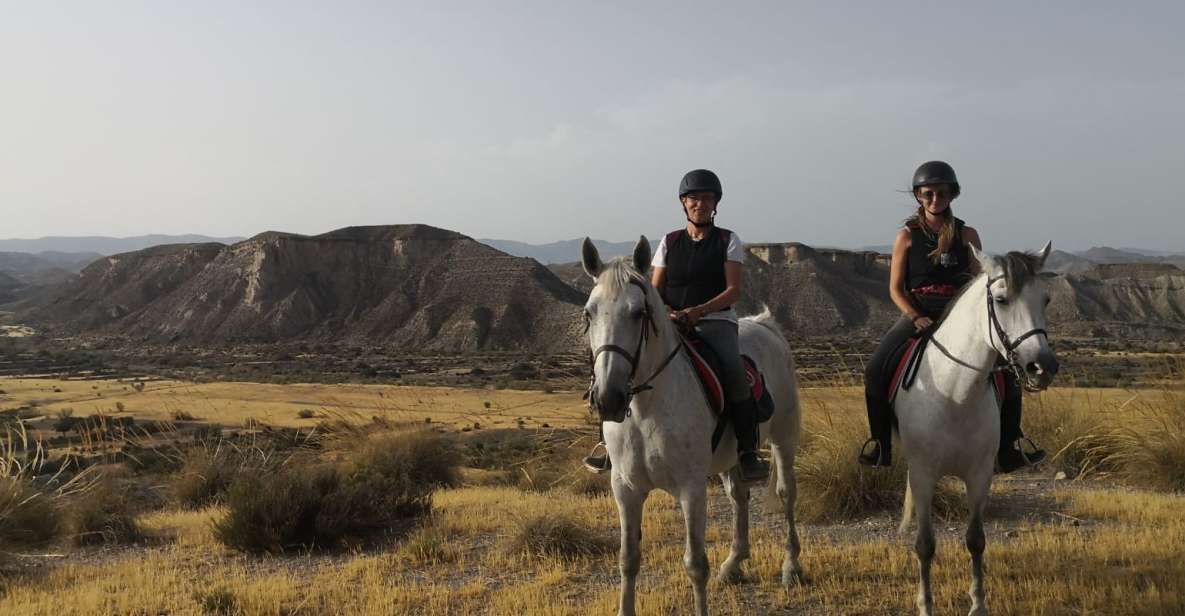 Almeria: Horse Riding Tour Through the Tabernas Desert - Key Points