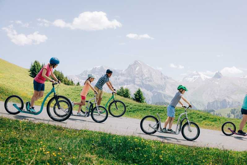 Alpine Family Fun: Hike and Bike in Adelboden From Zurich - Good To Know