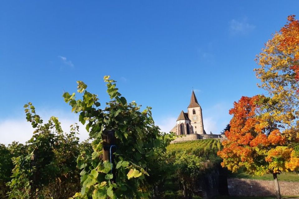 Alsace: Half-Day Wine Tour From Colmar - Key Points