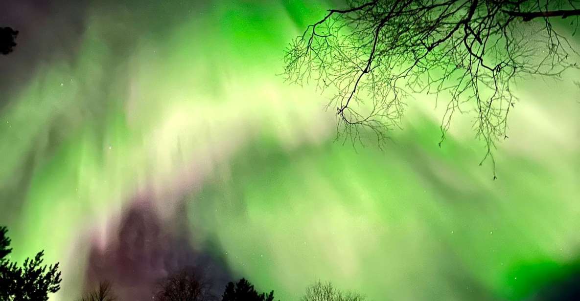 Amazing Aurora With BBQ in the Best Spot in Rovaniemi! - Key Points