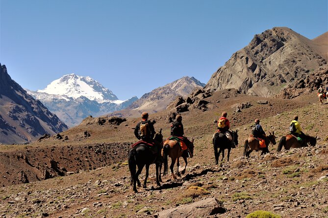 Andes Day Horseback Riding Tour and BBQ - Good To Know