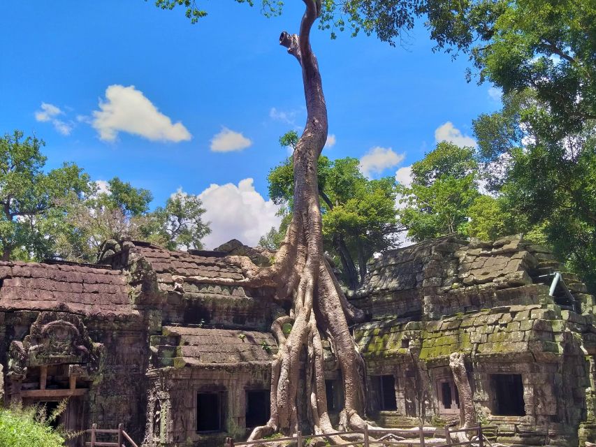 Angkor Wat Sunrise & Highlight Temples Private Guided Tour - Good To Know