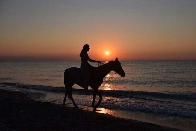 Antalya Horse Riding On Beach And Through The Forests For 2 Hours - Good To Know