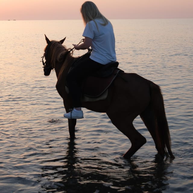 Antalya Horse Safari - Key Points