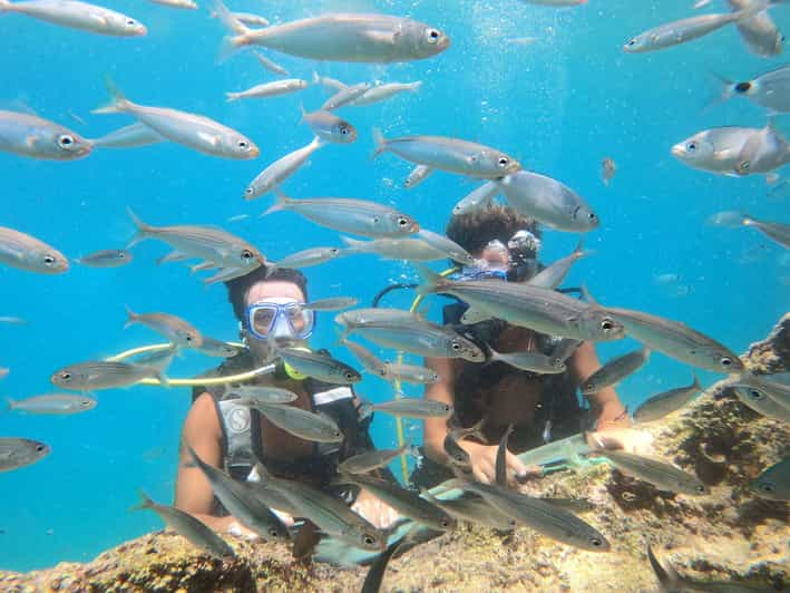 Antalya Scuba Diving by Boat Tours With Lunch - Key Points