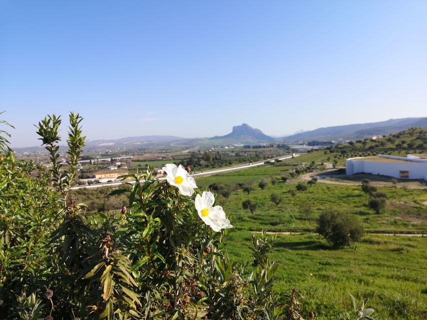 Antequera: Dolmens and El Torcal Tour With Transfer - Tour Highlights