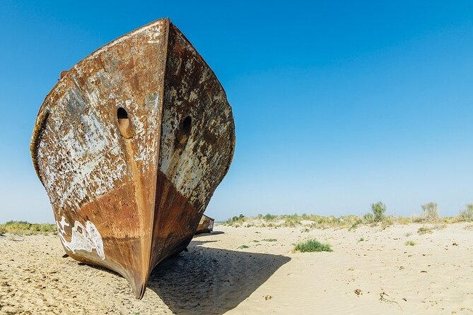 Aral Sea One Day Tour From Tashkent - Good To Know