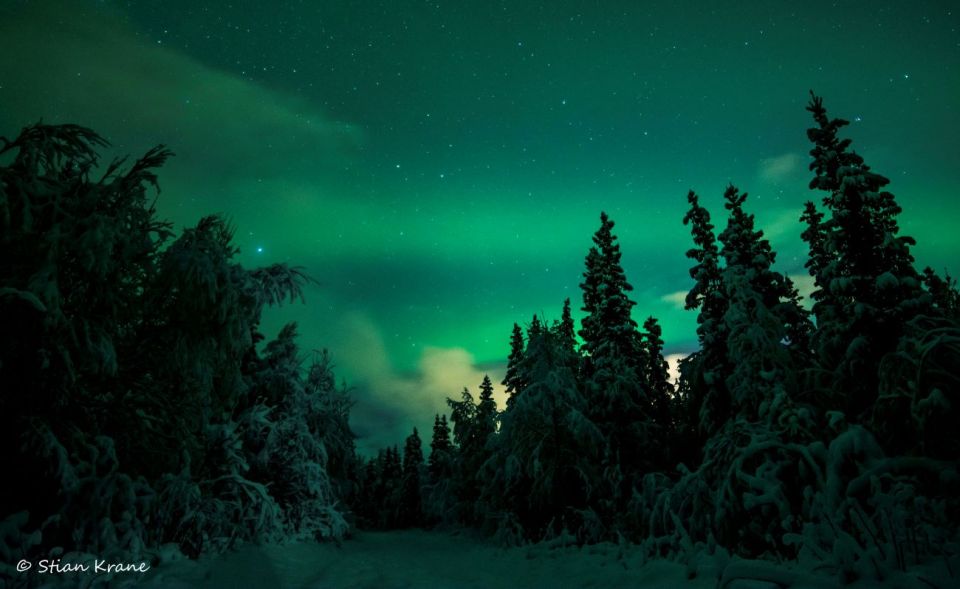 Arctic Adventure: Northern Lights Hunting With Snowmobiles - Good To Know