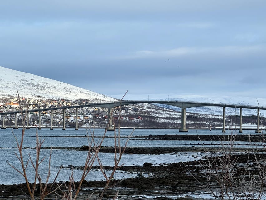 Arctic Nature Tour in Kvaløya With Hot Food and Drinks - Tour Overview