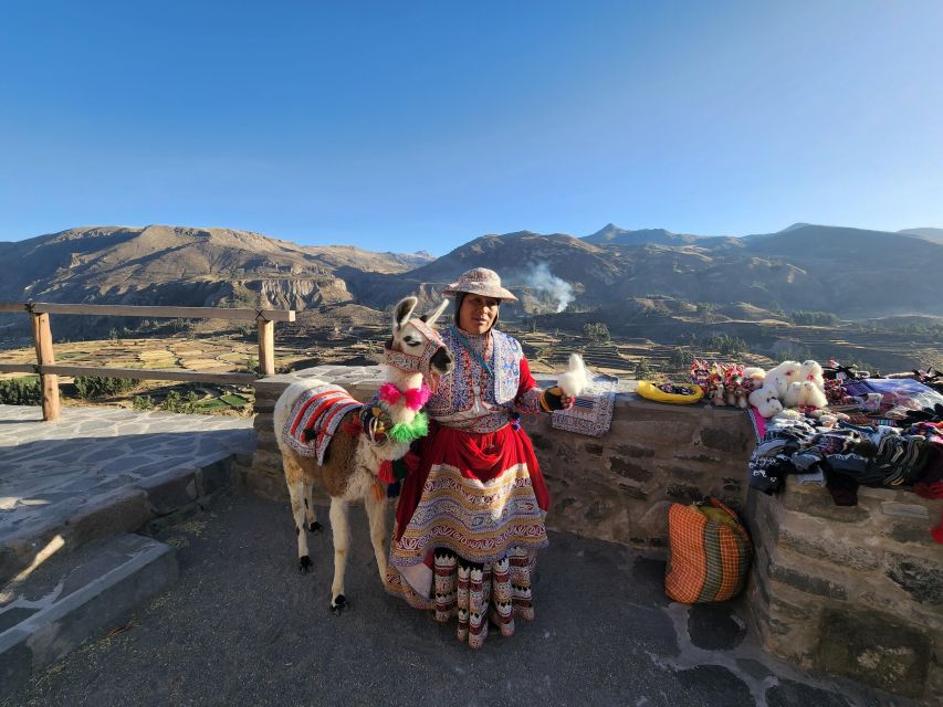 Arequipa: Colca Canyon Tour With Breakfast and Lunch - Key Points