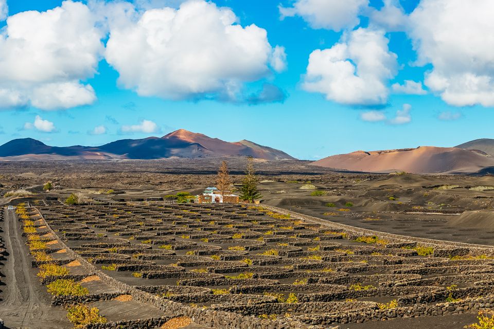 Arrecife: Timanfaya and Green Lagoon for Cruise Passengers - Key Points