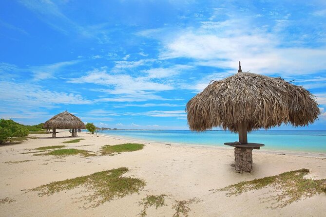 Aruba Private Full Island Tour - Key Points