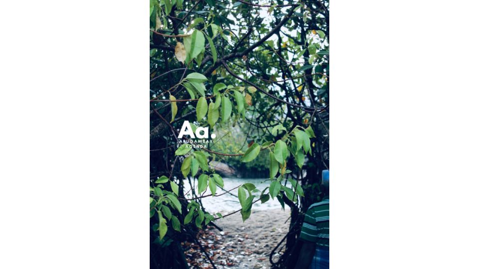 Arugambay: Mangrove Watching in Pottuvil Lagoon - Good To Know