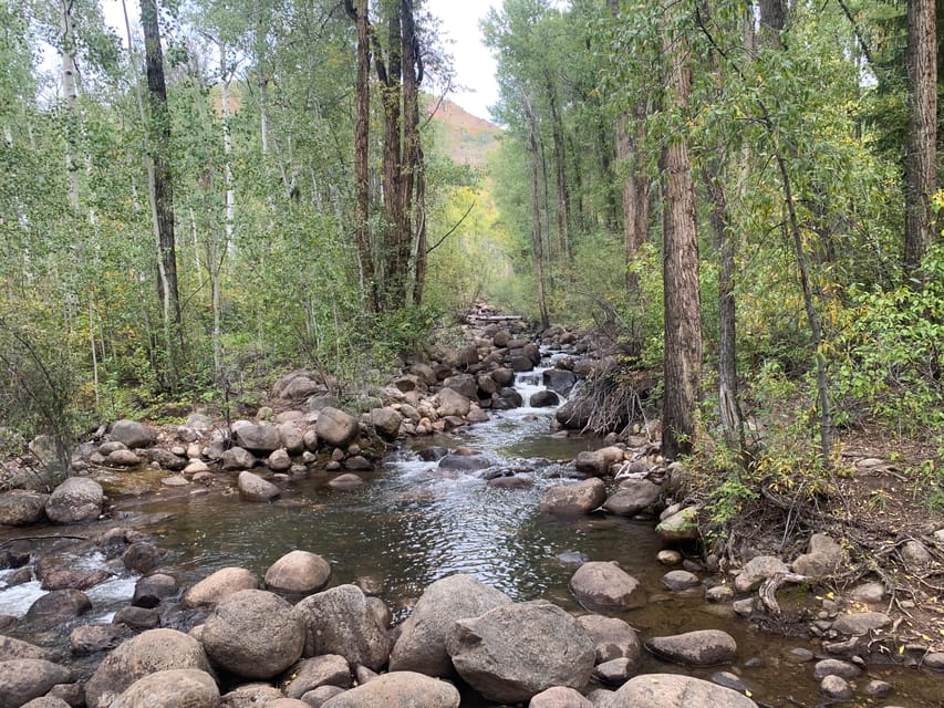 Aspen: Guided Light Hike With Roaring Fork River Views - Key Points