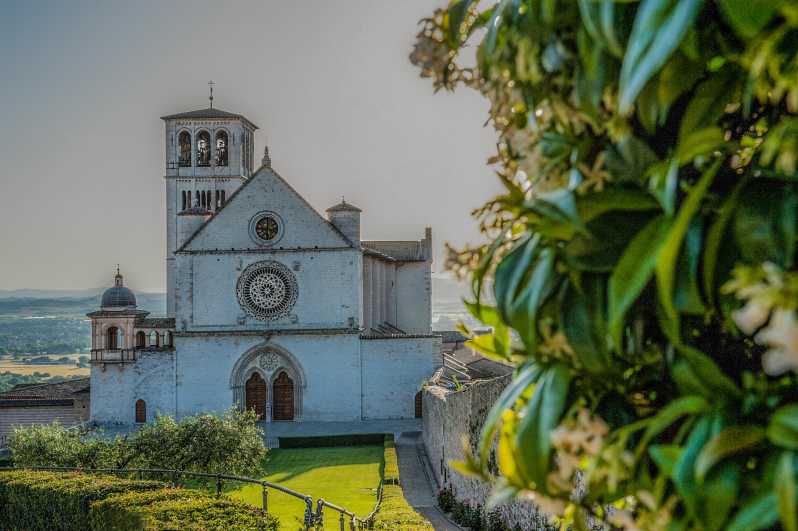 Assisi: St. Francis Basilica and Assisi Underground Tour - Key Points