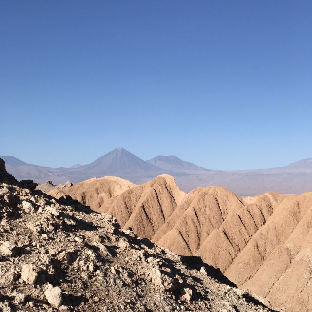 Atacama Desert and Magic Bus Visit - Key Points