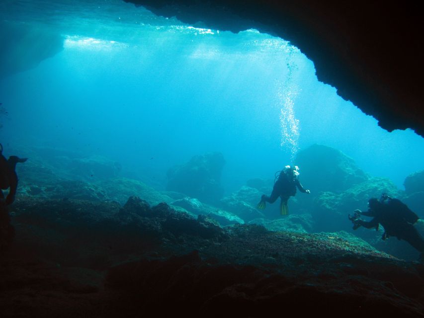 Athens: Adventure Dives in Nea Makri for Certified Divers - Key Points