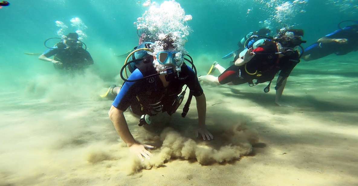 Athens East Coast: Discover Scuba Diving in Nea Makri - Key Points