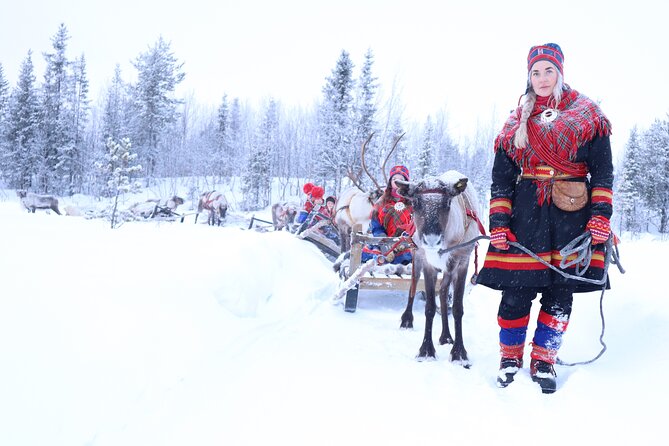 Aurora Hunting With Reindeer Caravan - Good To Know