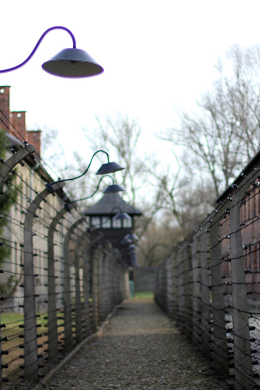 Auschwitz-Birkenau Full-Day Tour From Lodz by Private Car - Good To Know