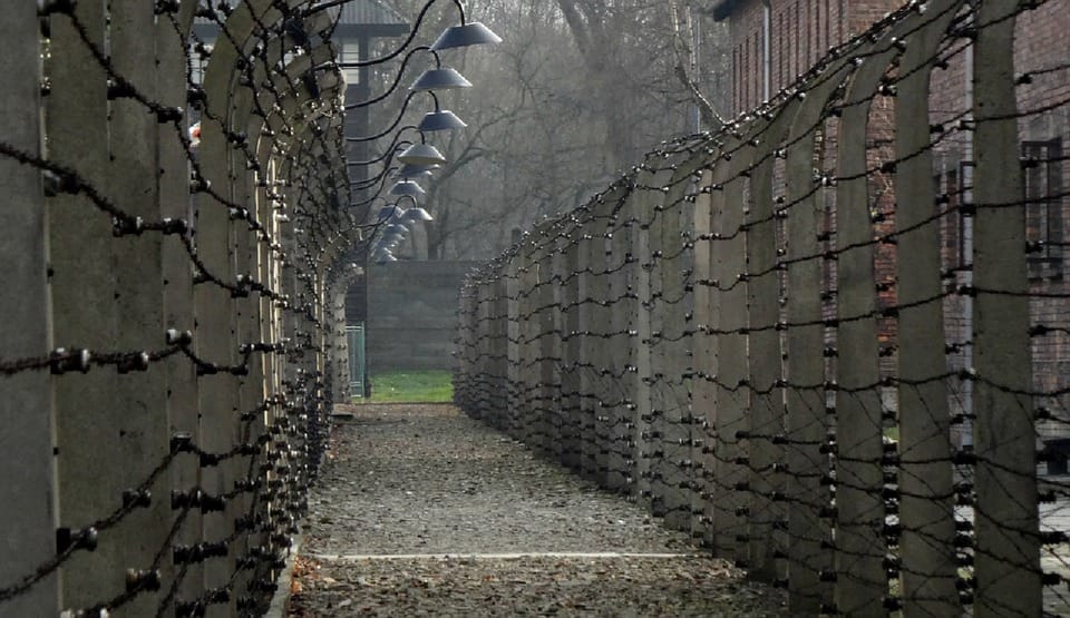 Auschwitz-Birkenau & Salt Mine Tour in One Day From Krakow - Good To Know