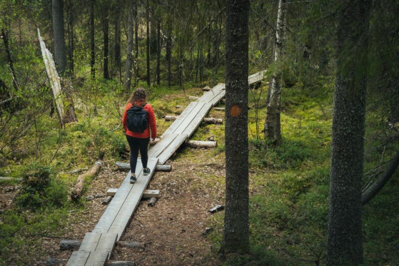 Auttiköngäs Hiking Experience - Key Points