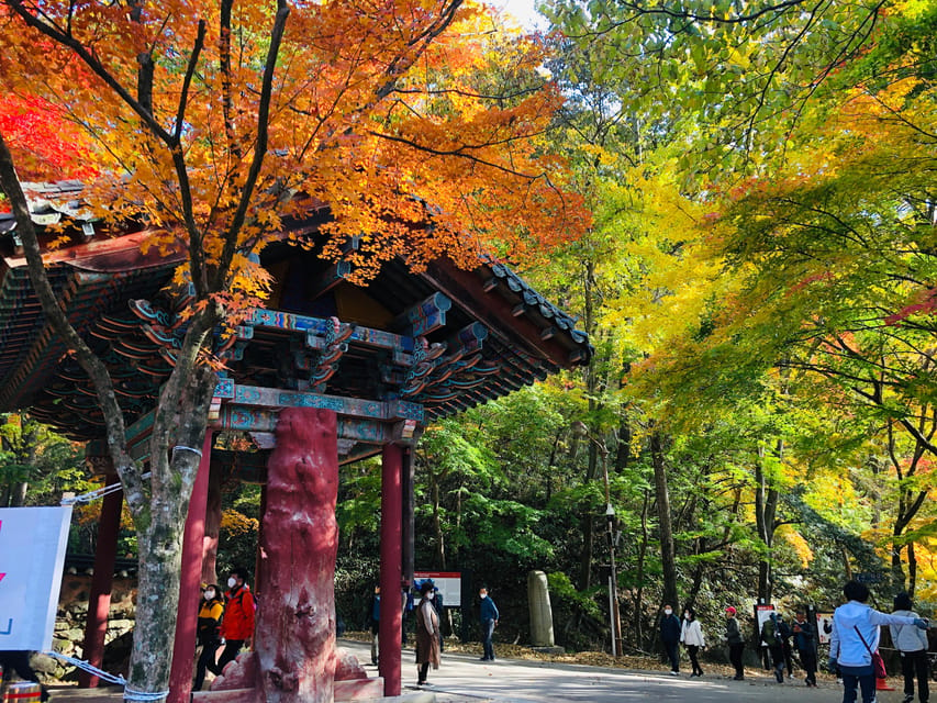 Autumn Foliage - Mt. Naejang + Jeonju Hanok Village - Key Points