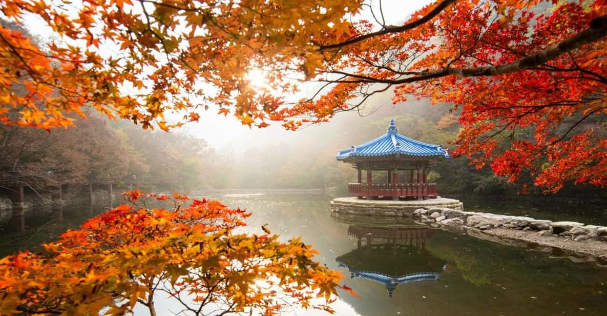 Autumn - Naejangsan National Park Maple Leaves Day Tour - Travel Time and Duration