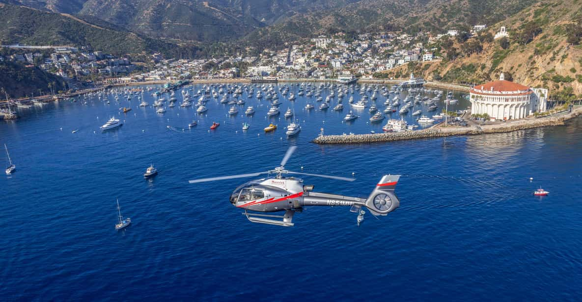 Avalon: Santa Catalina Island Aerial Helicopter Tour - Key Points