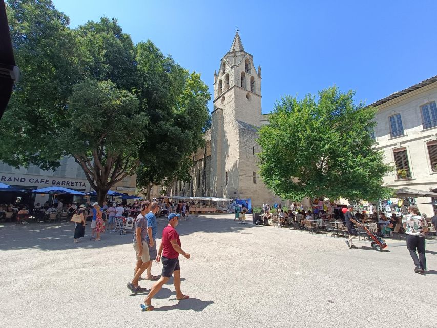 Avignon : Half-Day Walking Tour With Private Guide - Key Points