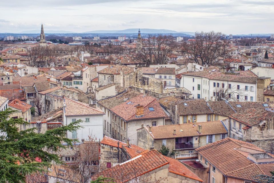 Avignon: Tour With Private Guide - Key Points