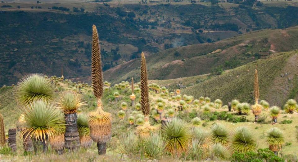 Ayacucho: Route to Vilcashuamán and Pumacocha - Key Points