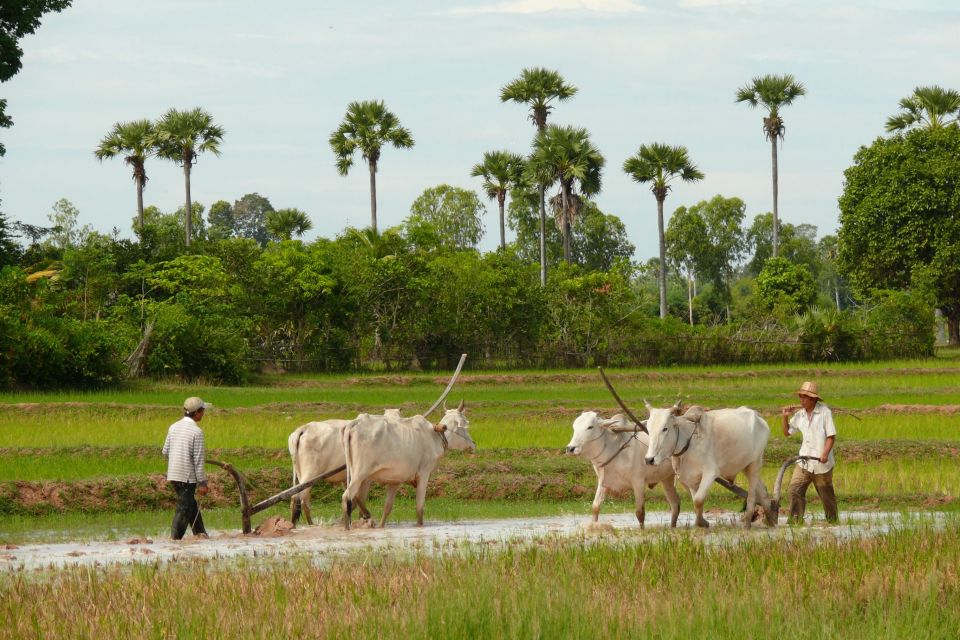 Back to Basics: Siem Reap Village Tour in Cambodia - Good To Know