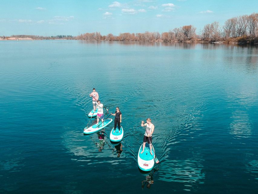 Bad Dürkheim: SUP Beginner Course - Key Points