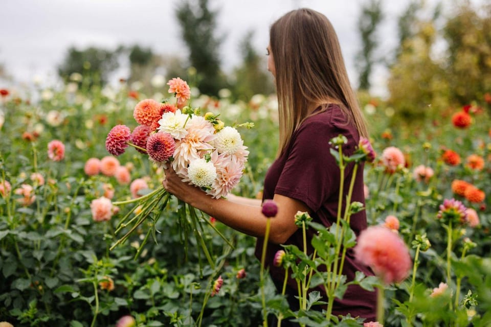 Bainbridge Island: Flowers and Whiskey - Key Points