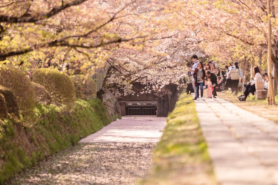 Bamboo Artistry & Zen Serenity: Tranquility With Ginkaku-Ji - Tour Overview and Pricing