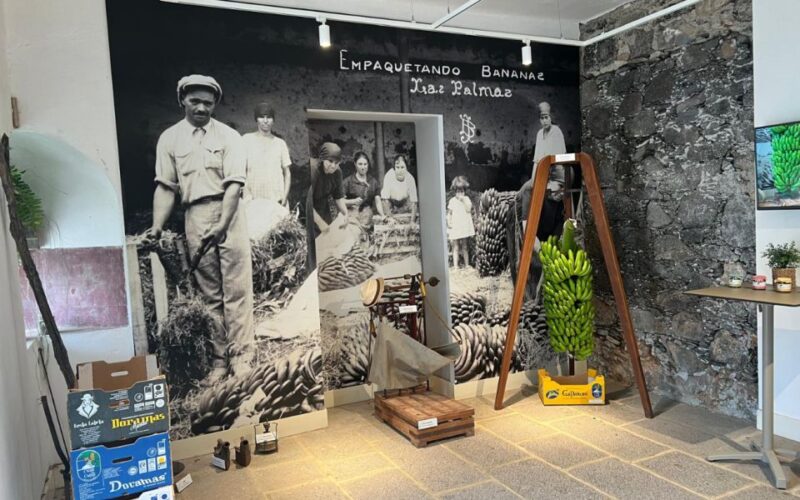 Banana, Wines & Rum Taste - Premium Tour in Gran Canaria - Key Points