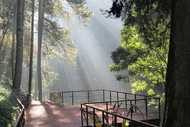 Bandung Private Tour Mountain Volcano and Hotspring ( Overland ) - Good To Know