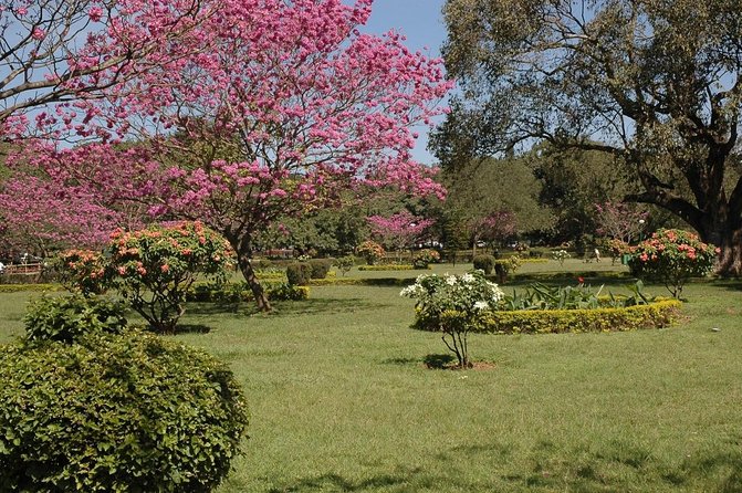 Bangalore Heritage and Cultural Walking Tour - Good To Know