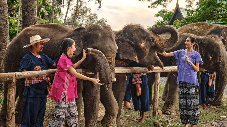 Bangkok Elephant Park: Half-Day Elephant Care - Key Points