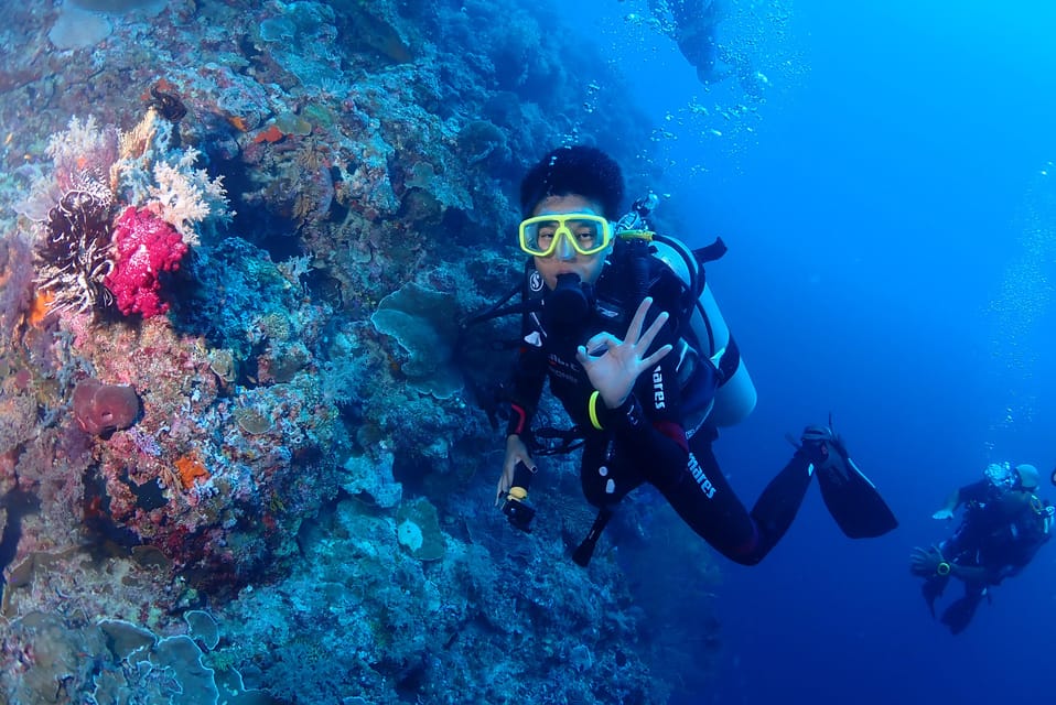 Bantayan Island: Fun Dive Scuba Adventure - Key Points