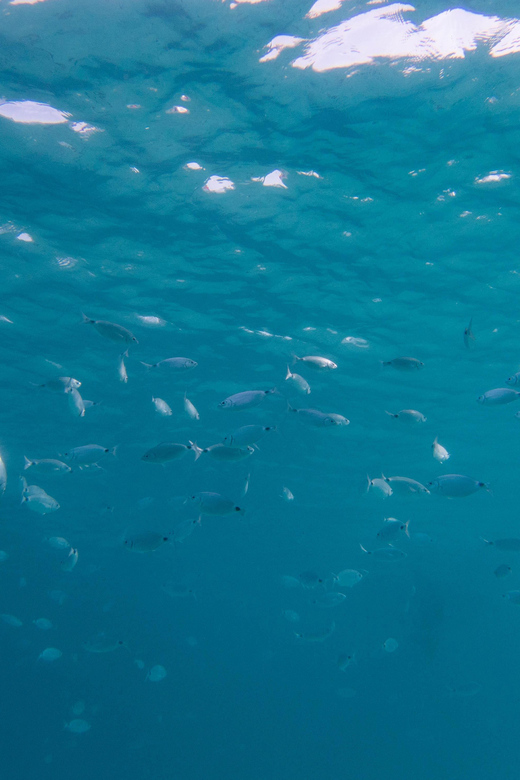 Baptism of the Sea - Key Points