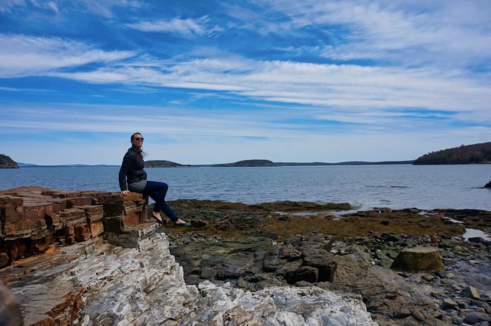 Bar Harbor: Acadia National Park Tour With Lobster Roll - Key Points