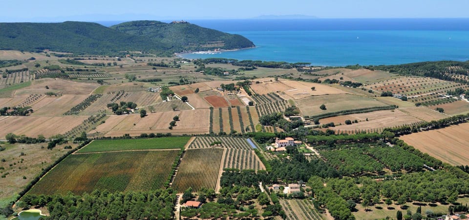 Baratti Bay & Populonia: E-Bike Tour + Shuttle Service - Tour Overview and Pricing