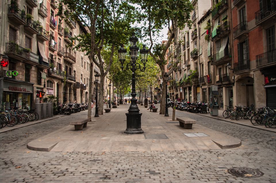 Barcelona: 4-Hour Private Picasso Museum & Walking Tour - Key Points