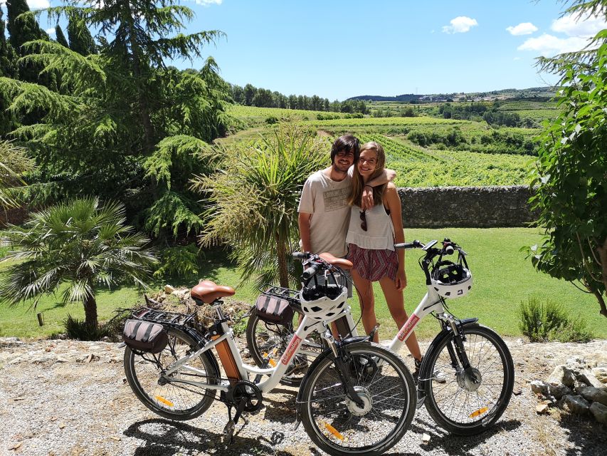 Barcelona: Bike & Wine Guided Tour - Penedès Vineyards - Key Points