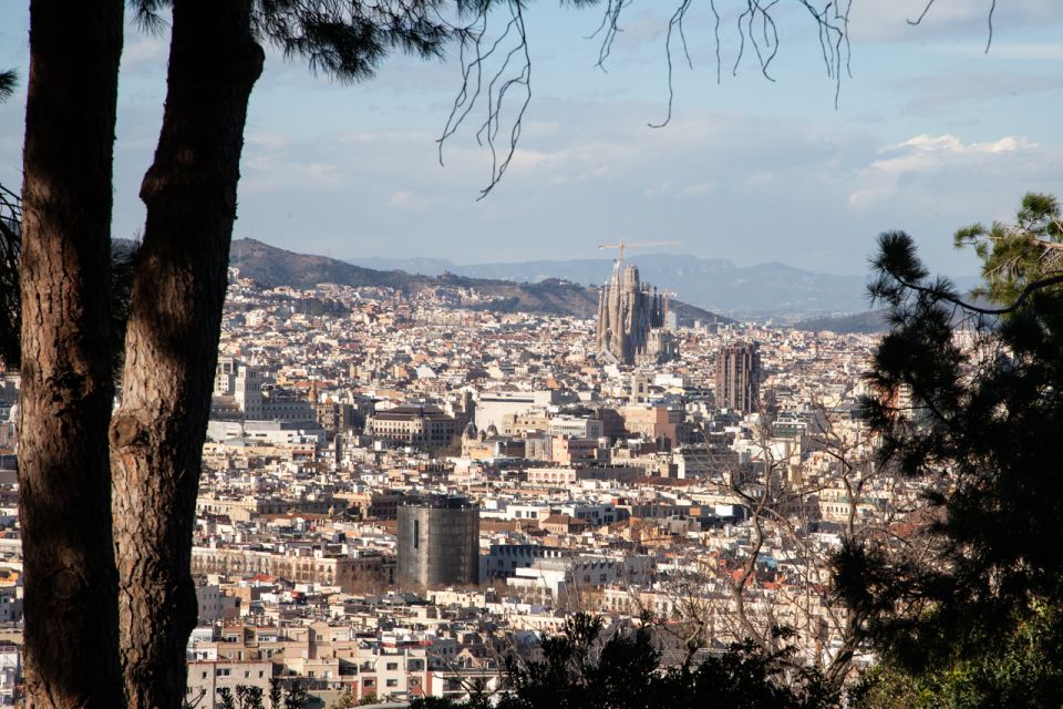 Barcelona: Montjuïc Walking Tour With Optional Flamenco Show - Key Points